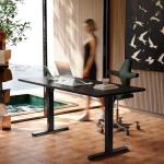 HUANUO Electric Adjustable Standing Desk - Black