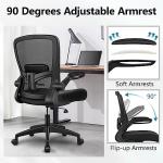 Ergonomic Mesh Office Chair with Lumbar Support