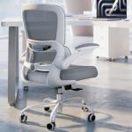 Ergonomic Desk Chair with Adjustable Lumbar Support