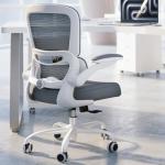Ergonomic Desk Chair with Adjustable Lumbar Support