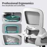Ergonomic Desk Chair with Adjustable Lumbar Support