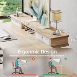 TIQLAB Adjustable Height Standing Desk with Drawers