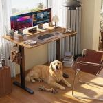 Electric Height Adjustable Standing Desk, 61 x 122 cm