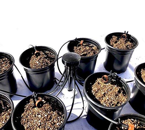 12-Plant Hydroponic Grow Kit with Drip System