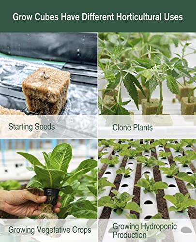 SKINNYBUNNY Rockwool Cubes for Hydroponics, 200 Count