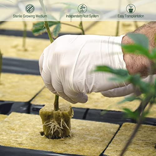 SKINNYBUNNY Rockwool Cubes for Hydroponics, 200 Count