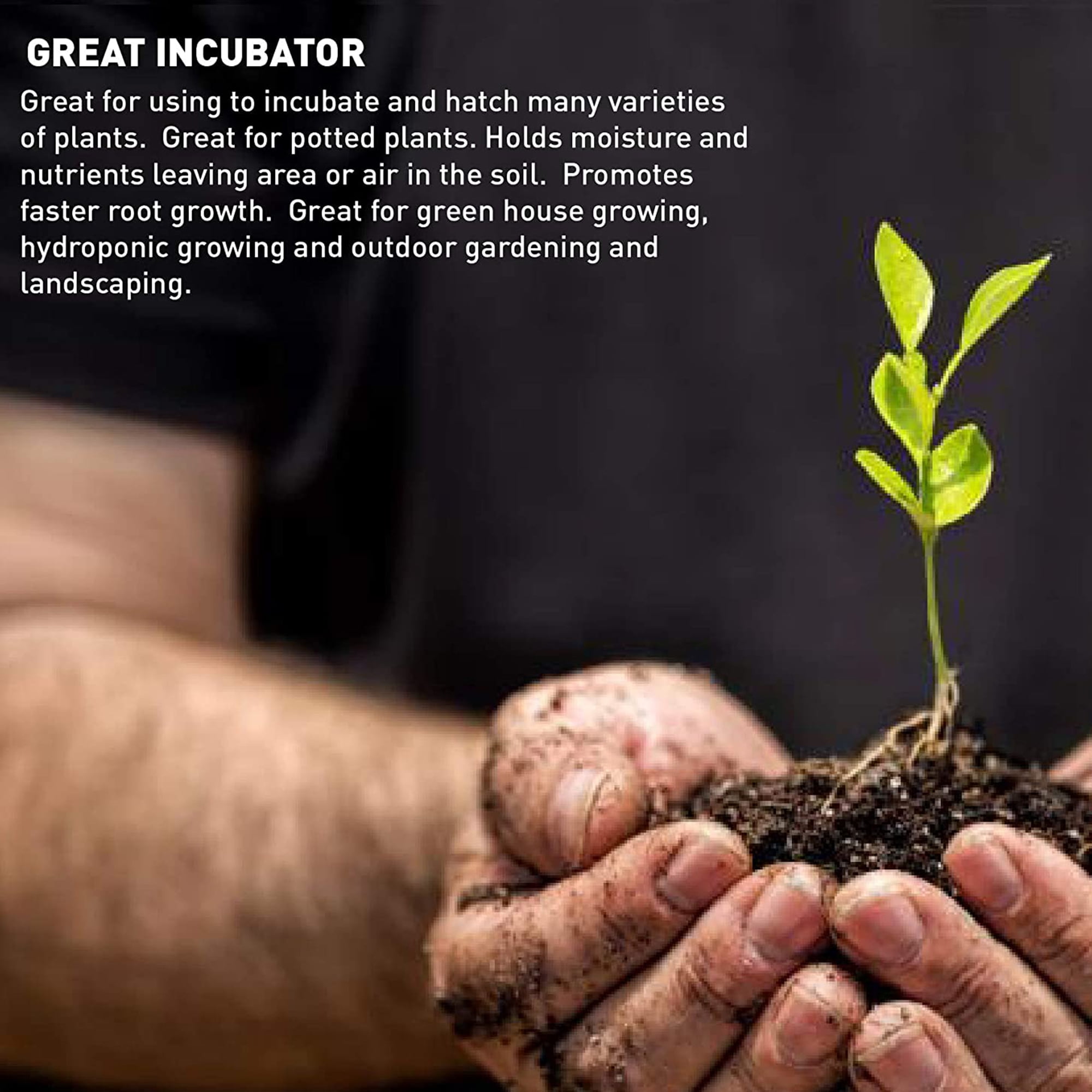 Palmetto 4 Cu Ft Coarse Organic Vermiculite Soil