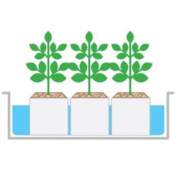 4 Inch Rockwool Cubes for Hydroponics - 6 Pack