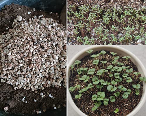 10QT Organic Vermiculite for Hydroponic Gardening