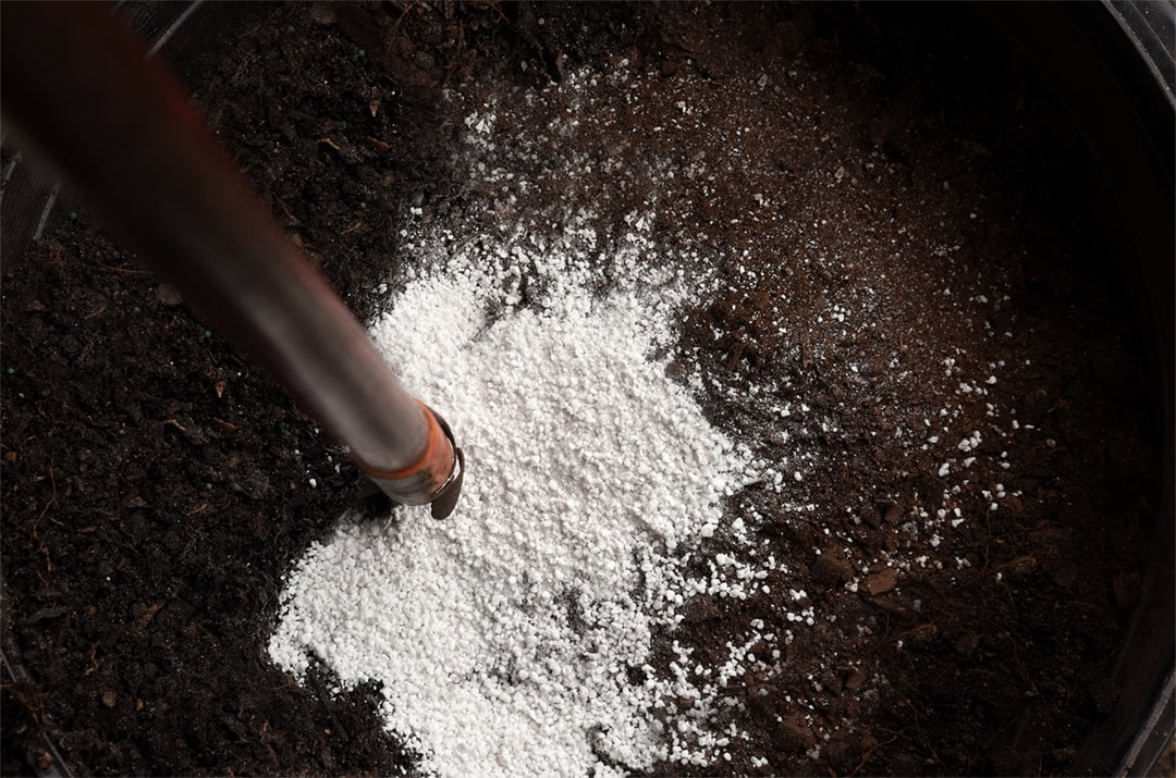 Organic Perlite for Hydroponic Growing - 8 Quart