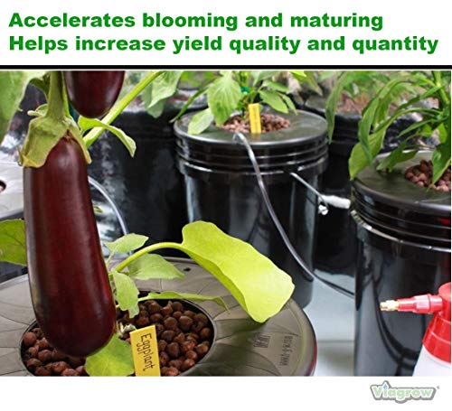 Viagrow 10-Liter Hydroponic Grow Rock System