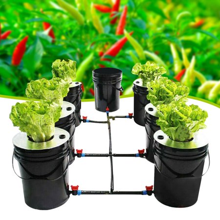 7-Pot Hydroponic Deep Water Culture System