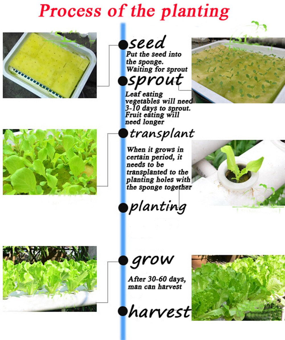 INTBUYING Hydroponic Grow Kit for 36 Plants