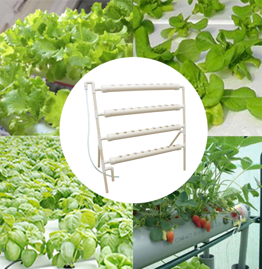 INTBUYING Hydroponic Grow Kit for 36 Plants