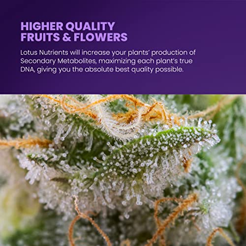 Lotus Nutrients Starter Kit for Hydroponics and Soil