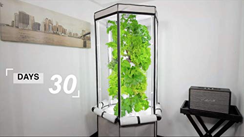 Aerospring Vertical Hydroponic System for 27 Plants