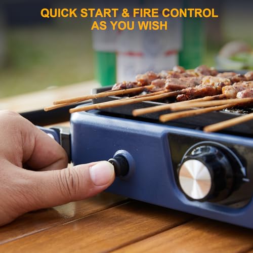 WINKIZA 2-Burner Portable Propane Camping Stove