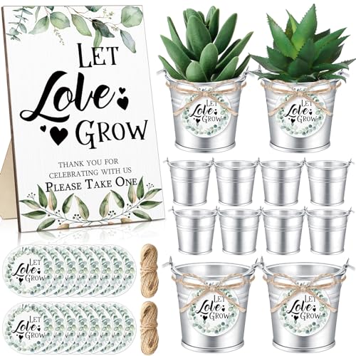 Mini Succulent Buckets with Let Love Grow Signs
