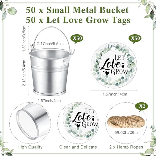 Mini Succulent Buckets with Let Love Grow Signs