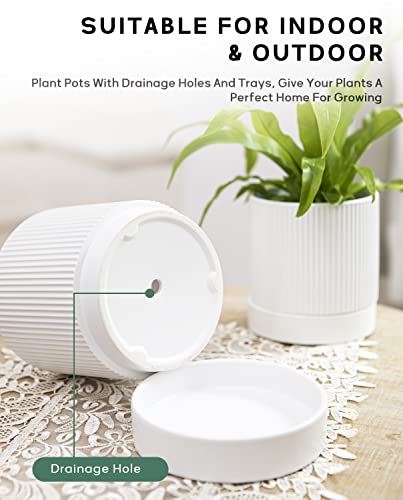 White Striped Ceramic Planters with Tray, Set of 3