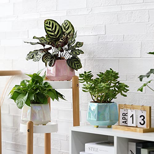 Ceramic Plant Pots with Drain Hole - Minimalist Design