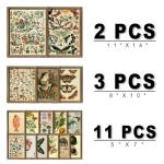 16-Piece Botanical Vintage Wall Art Set