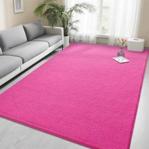 Hot Pink 4x6 Shaggy Rug for Minimalist Spaces