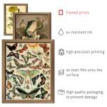 16-Piece Botanical Vintage Wall Art Set