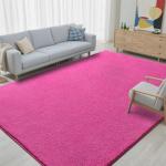 Hot Pink 4x6 Shaggy Rug for Minimalist Spaces