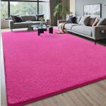 Hot Pink 4x6 Shaggy Rug for Minimalist Spaces