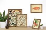 16-Piece Botanical Vintage Wall Art Set