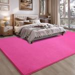 Hot Pink 4x6 Shaggy Rug for Minimalist Spaces