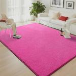 Hot Pink 4x6 Shaggy Rug for Minimalist Spaces
