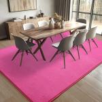 Hot Pink 4x6 Shaggy Rug for Minimalist Spaces