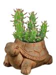 Cement Animal Planter for Succulents - Turtle Design