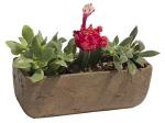 Dakota Rectangular Planter Box for Succulents