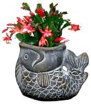 Cement Largemouth Bass Animal Planter for Succulents