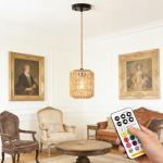 Remote-Controlled Battery Pendant Light with 9 Colors