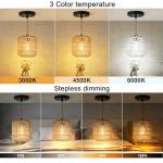 Remote-Controlled Battery Pendant Light with 9 Colors