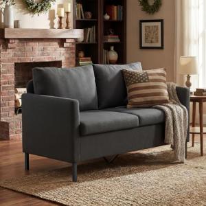 Modern Mini Loveseat Sofa in Dark Grey