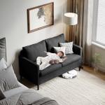 Modern Mini Loveseat Sofa in Dark Grey