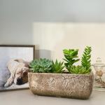 Dakota Rectangular Planter Box in Earth Moss Gray