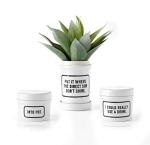 Brass Monkey Vintage-Inspired Plant Holder with Tray