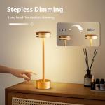 Gold Cordless Touch Table Lamp for Modern Decor