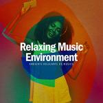 Soft Minimalist Cushion Pillow