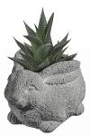 Cement Animal Planter for Succulents - Rabbit Design