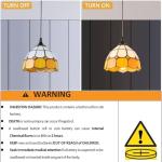 Battery Operated Pendant Light with Remote Control