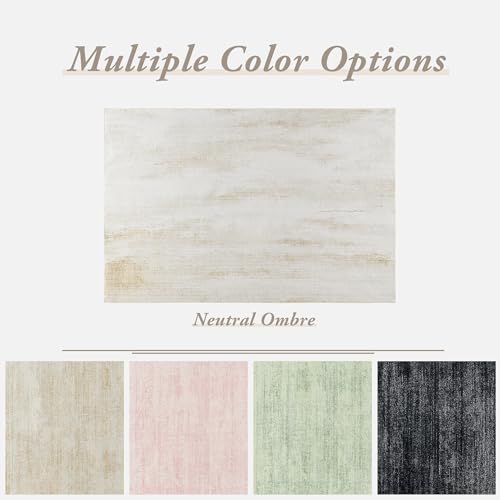 BILEEHOME Abstract Neutral Rug for Living Room