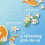 Eco-Friendly Air Fresheners for Home & Bathroom