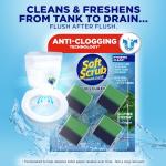 Eco-Friendly Toilet Cleaner Duo-Cubes, Alpine Fresh